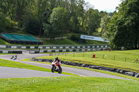 Lower Group Red Bikes